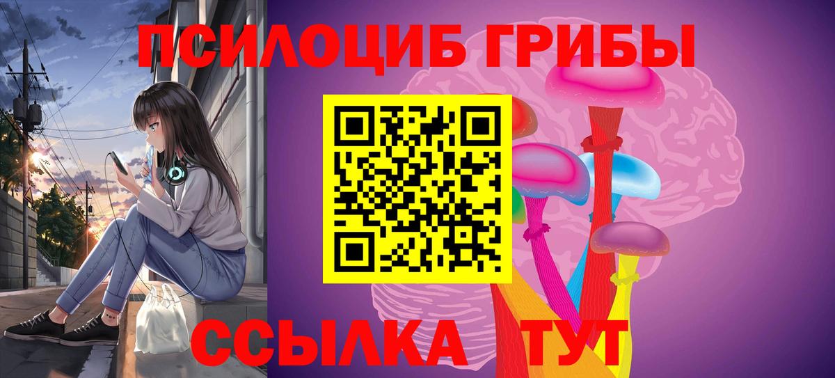 Псилоцибиновые грибы Cubensis Торжок